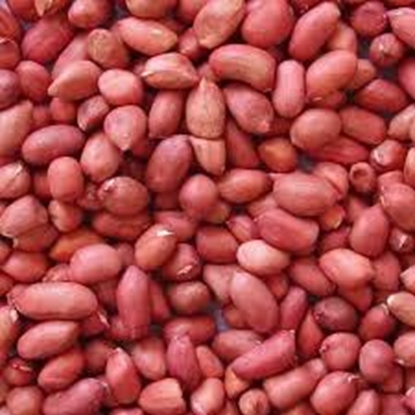 Picture of LAMB BRAND PEANUTS KERNELS 400GR RED